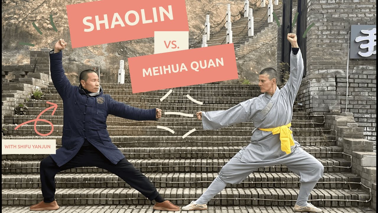 Shaolin vs. Meihua Quan Kung Fu 🌸 What Beginners Should Know
