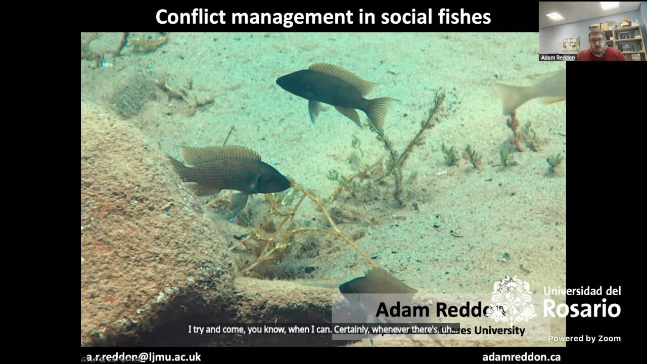 Adam Reddon: Conflict management in social fishes (9 Sept. 2025)