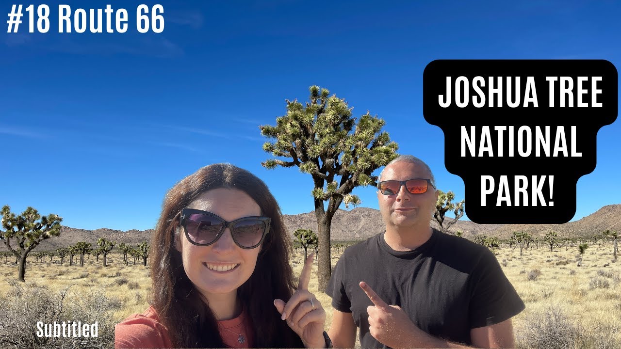Route66 #18 - California - Joshua Tree National Park and McDonald's museum!