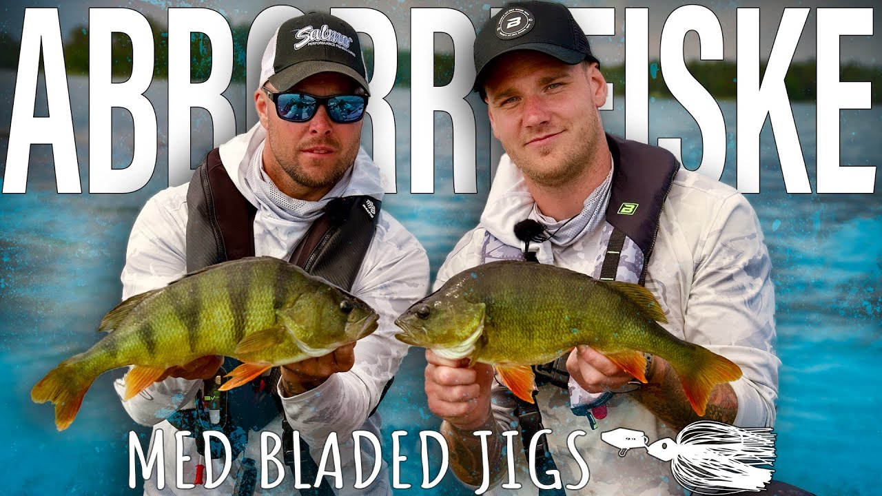 Abborrfiske p&aring; sommaren - S&aring; fiskar du med bladed jigs!