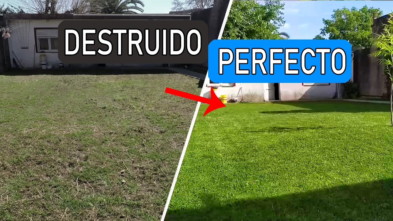 Cómo revivir y nivelar un césped destruido | Top Dressing paso a paso