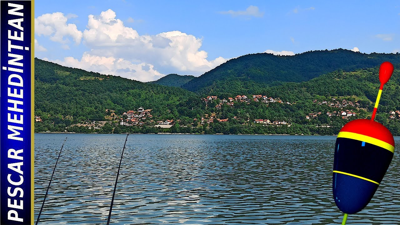 Raaari... da' mari ! Svinița. 08/IUN/2022