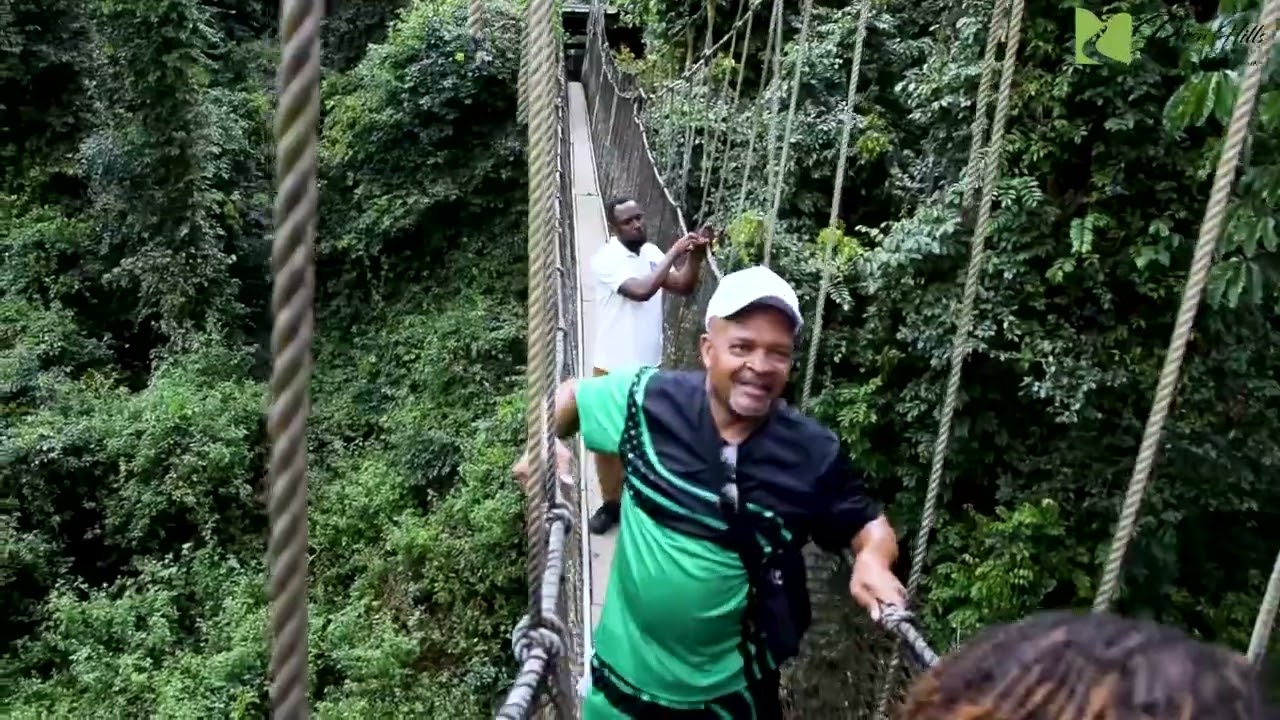 Tour of Kakum National Park with the Grand Opening guests
