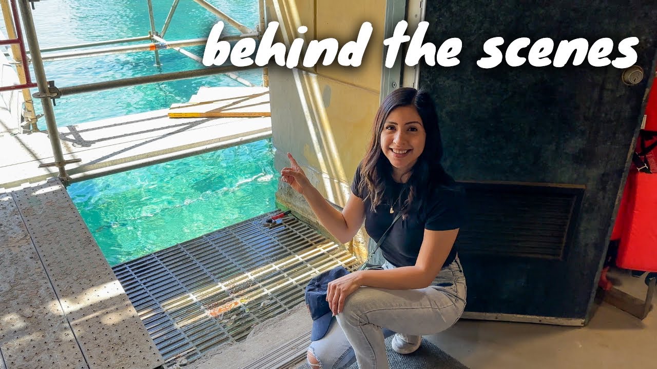 i went Behind the Scenes of the Bellagio Fountains ⛲️