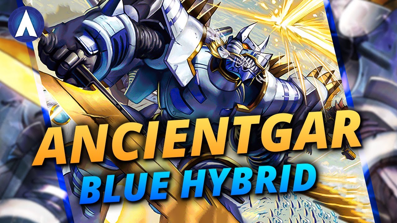 RED OR BLUE??? AncientGarurumon Hybrid Deck Profile & Combo Guide | Digimon Card Game BT18 & BT19
