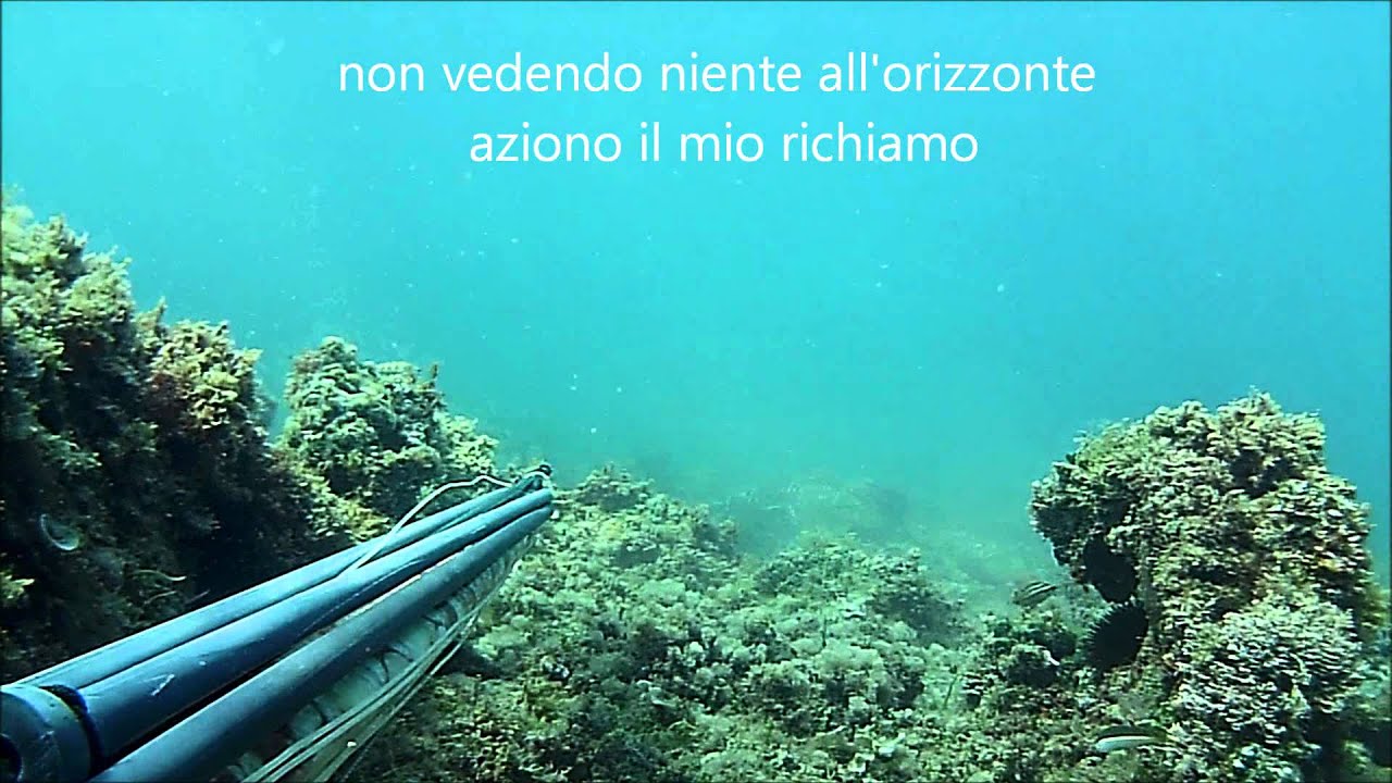 mastro1969 cefalo tiro piazzato spearfishing Alessandro Mastrobuoni