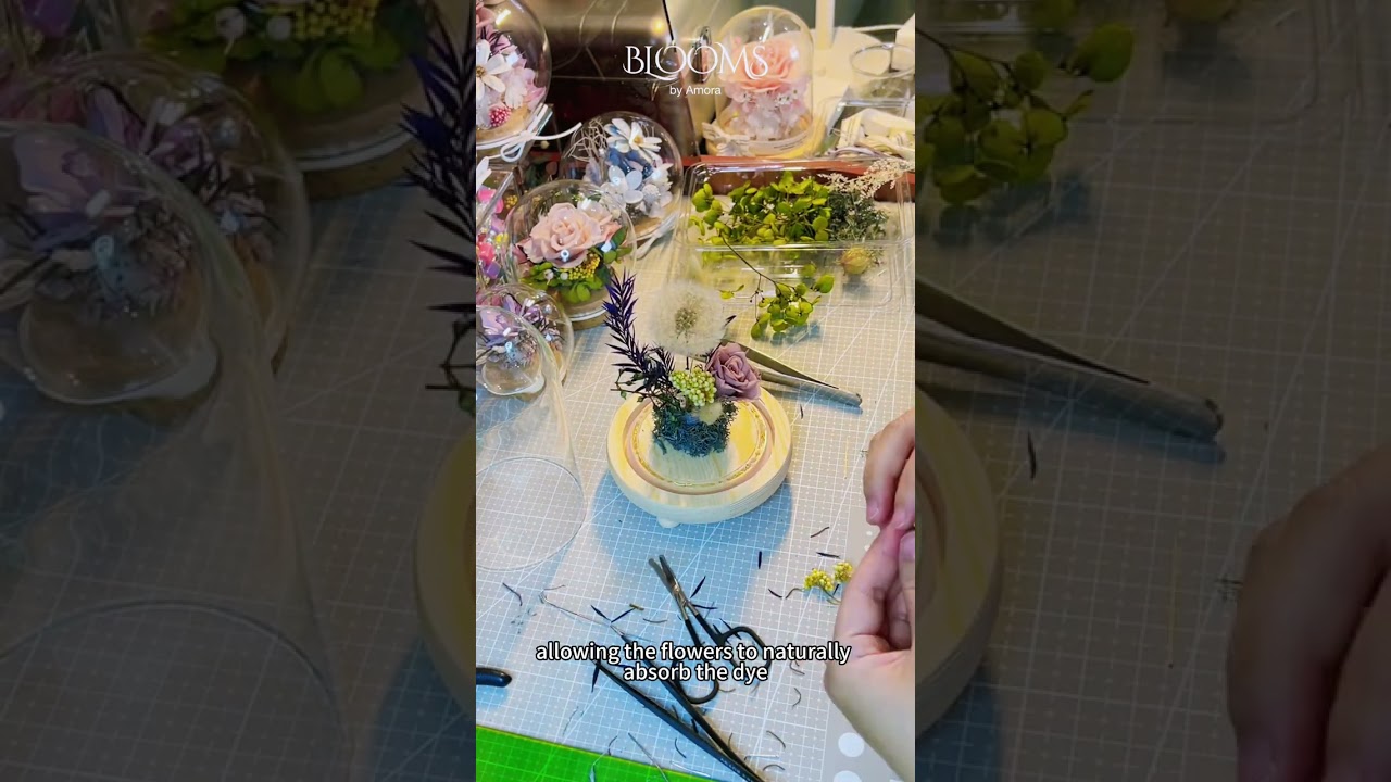 What Are Preserved Flowers? An Introduction