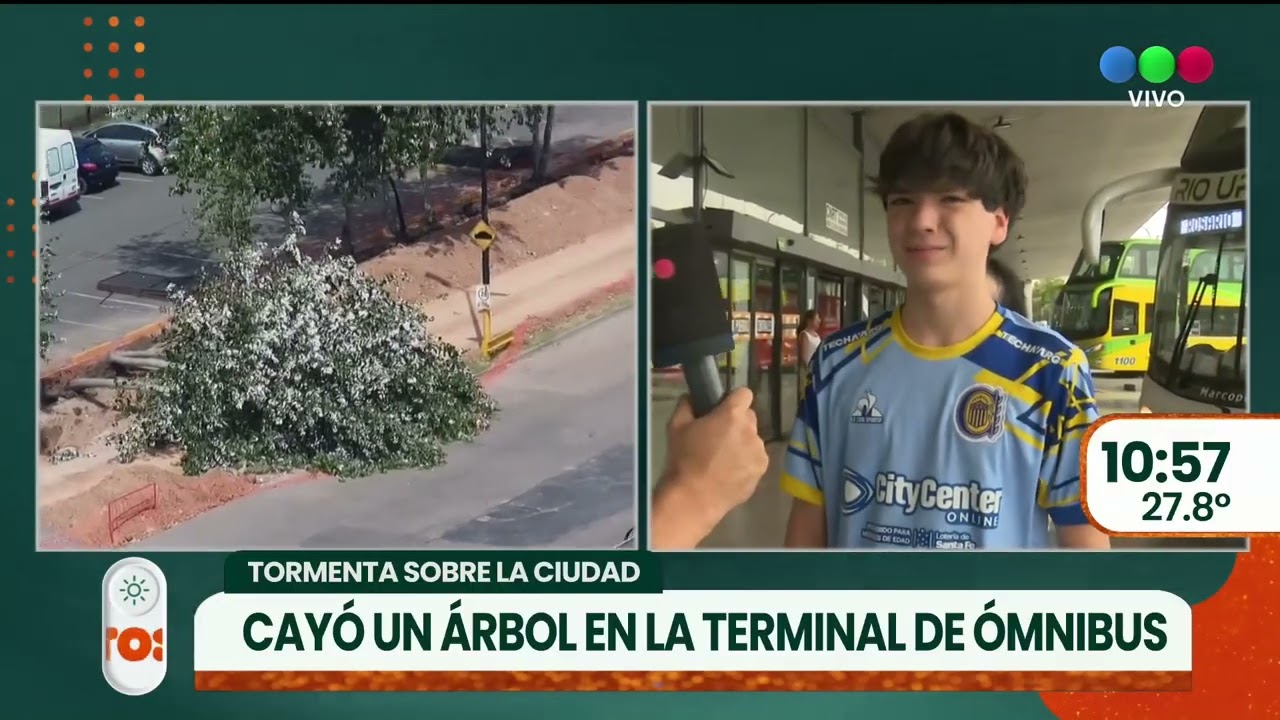 Cayó un árbol en la terminal de ómnibus ► TELEFE ROSARIO