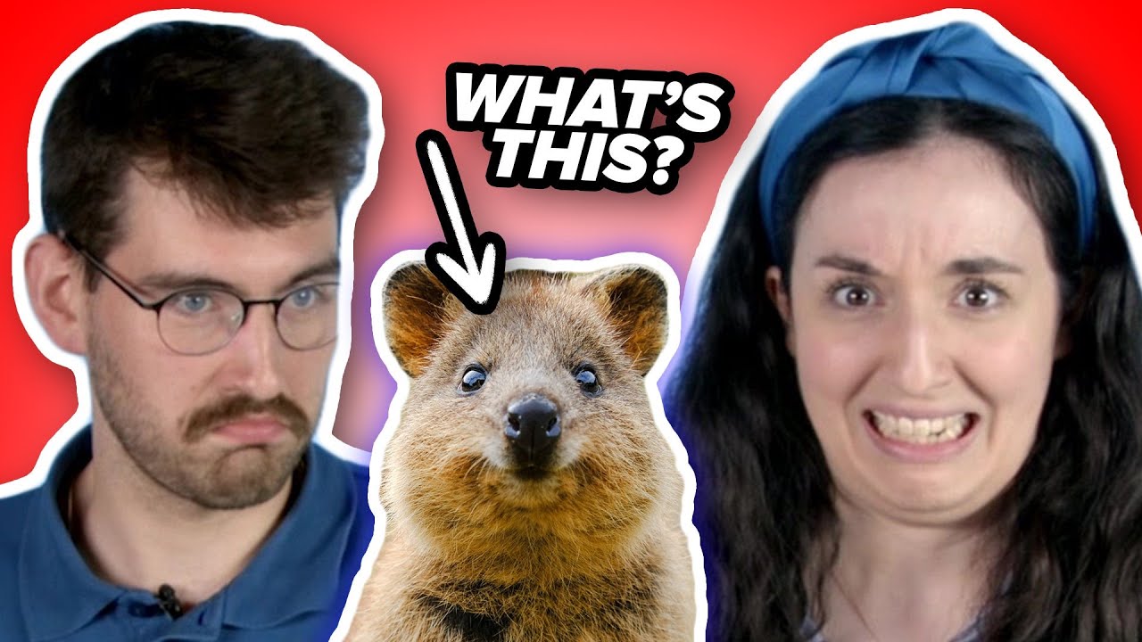 Brits Guess Australian Facts