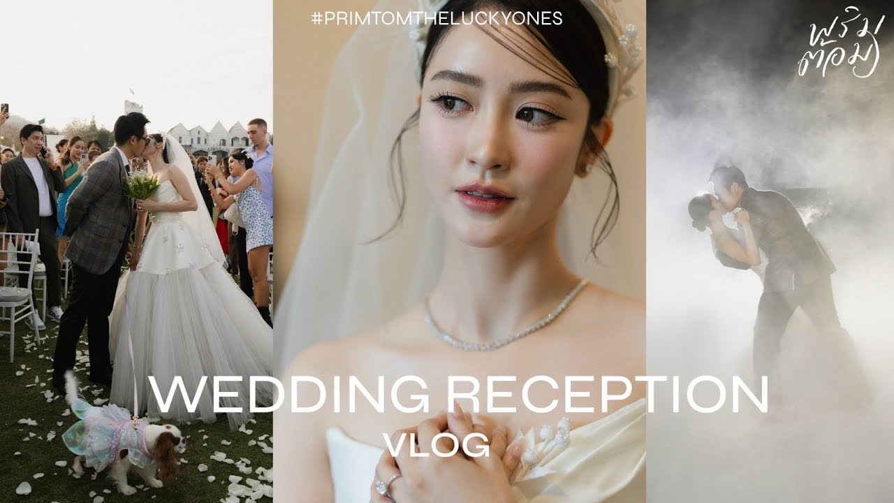 PRIMTOM Wedding Reception Vlog l PRIMA PRIM