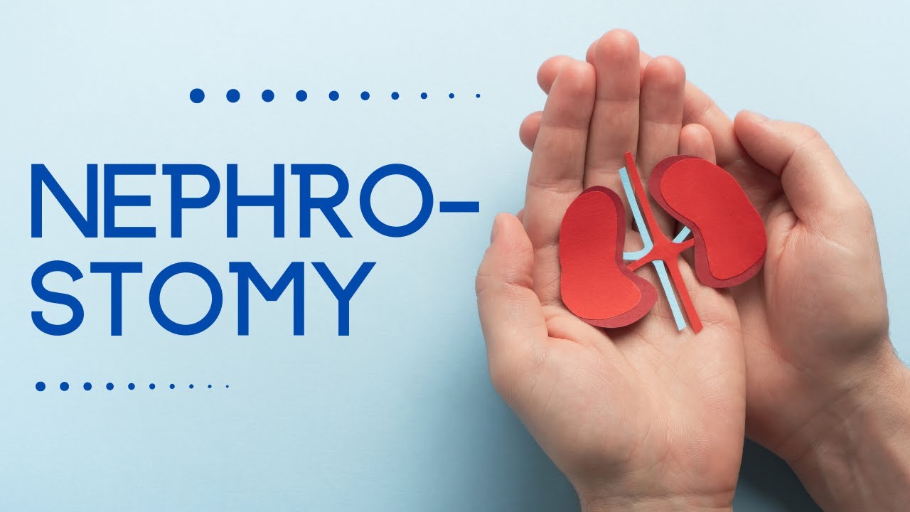 Нефростомия