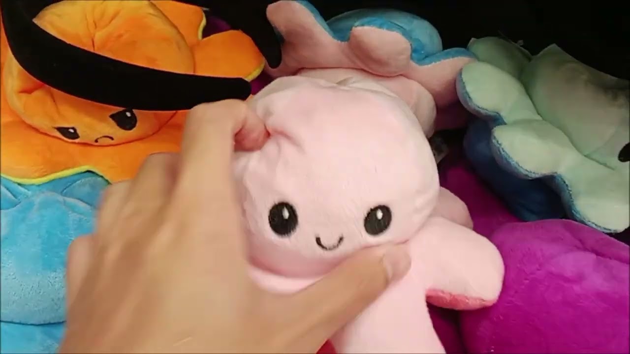 Rummy Pop! Adventure- Episode 3- Singapore Zoo