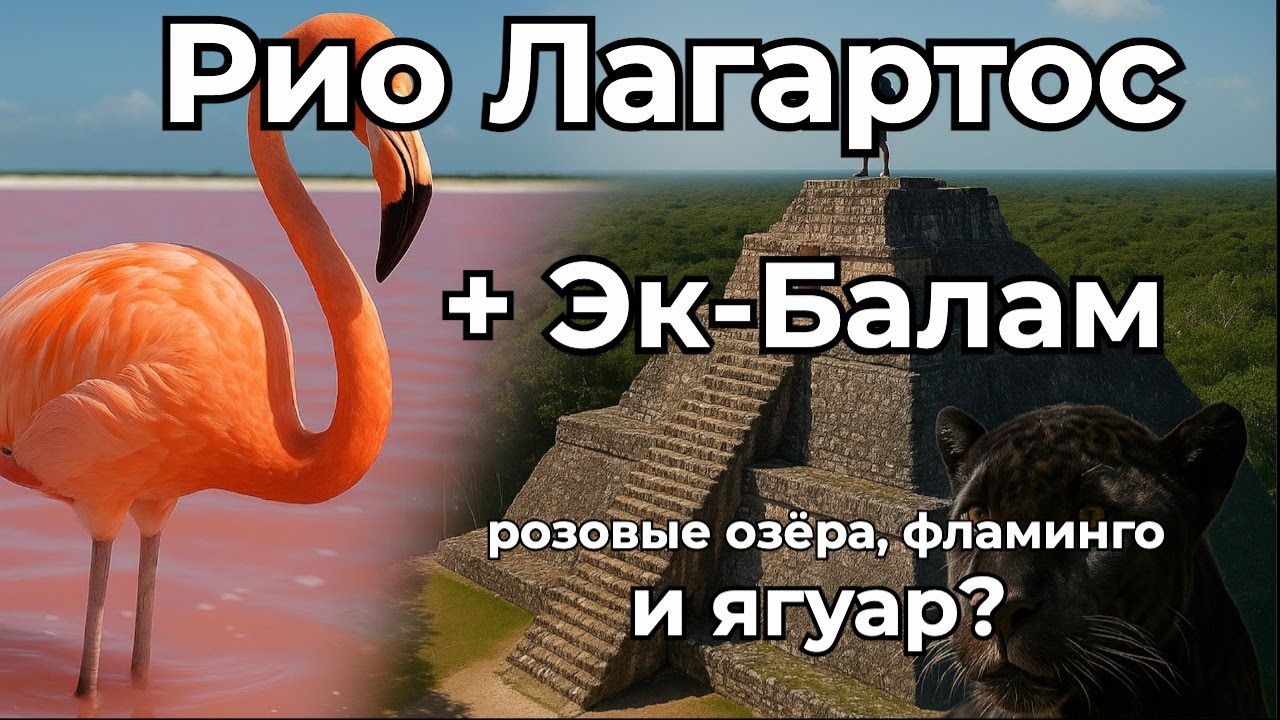 Рио Лагартос и Эк Балам: розовые озёра, фламинго и город ягуара!