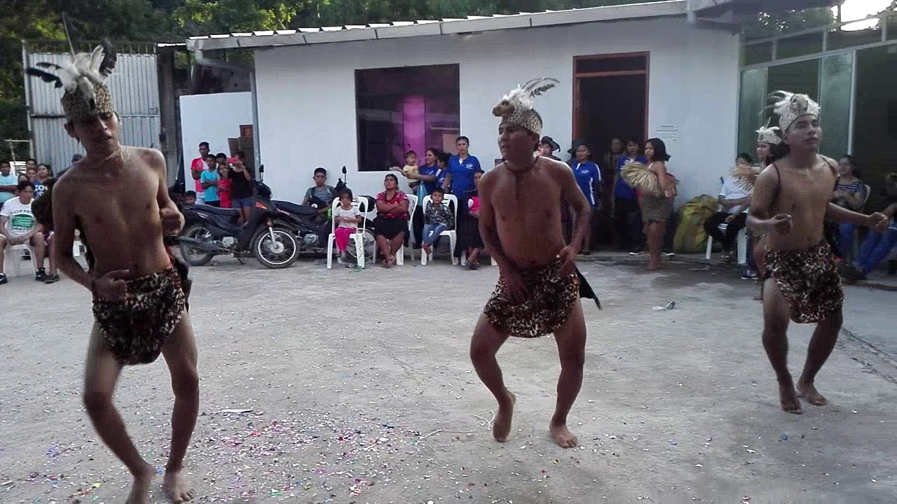Los mejores música de la selva(1)