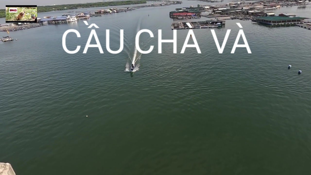 Tổ Hợp Hóa Dầu Khủng Ở Bán Đảo Long Sơn;@traveldinhhiep 396;