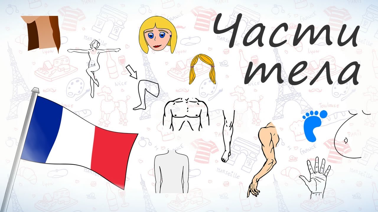 Части тела на французском.