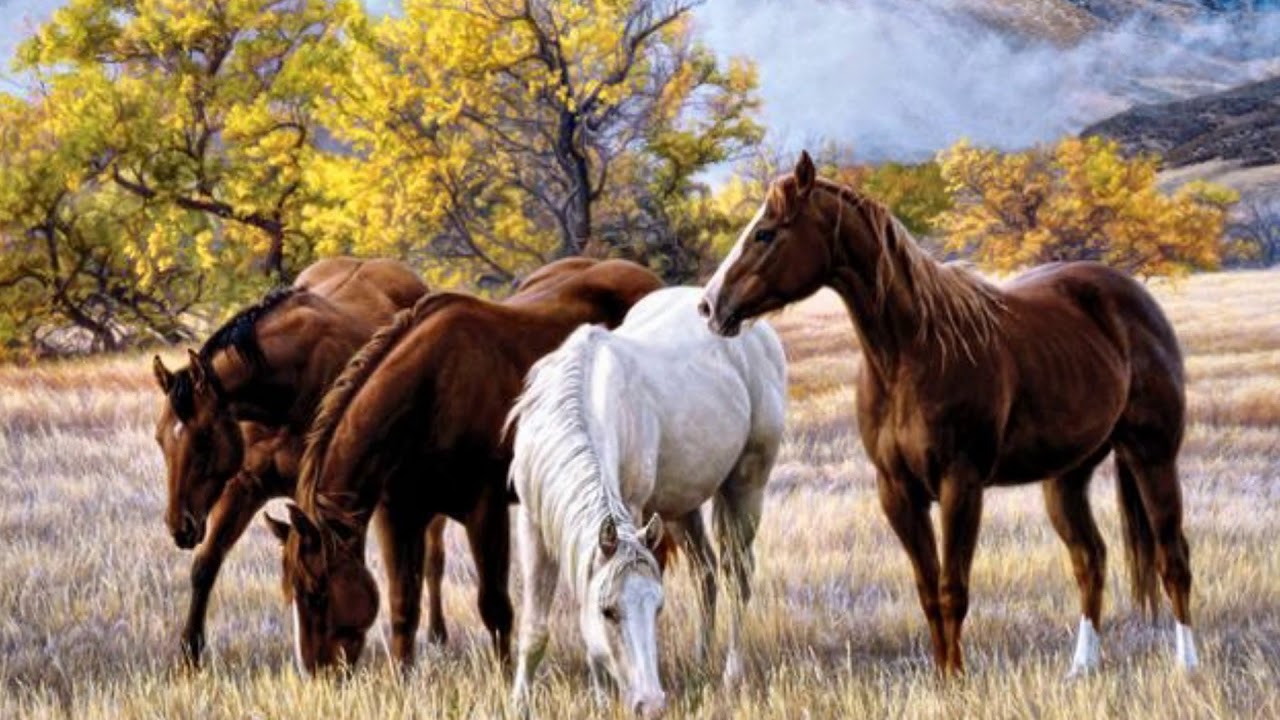 Western Art by Tim Cox