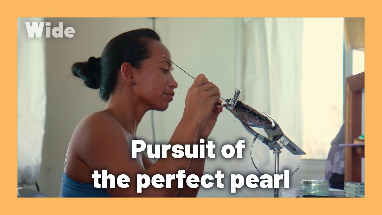 Tahitian dream: experiments to create flawless pearls | WIDE