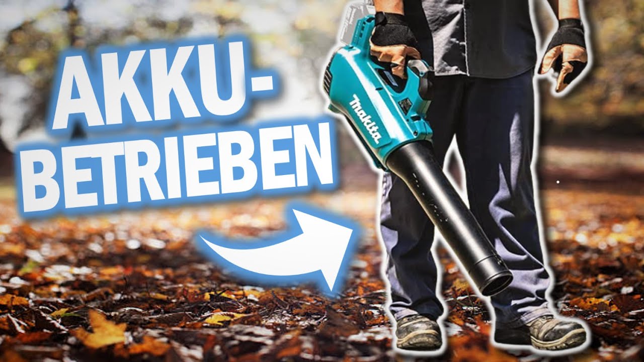 Beste AKKU LAUBBL&Auml;SER 2026 | Top 3 Akku Laubgebl&auml;se Vergleich