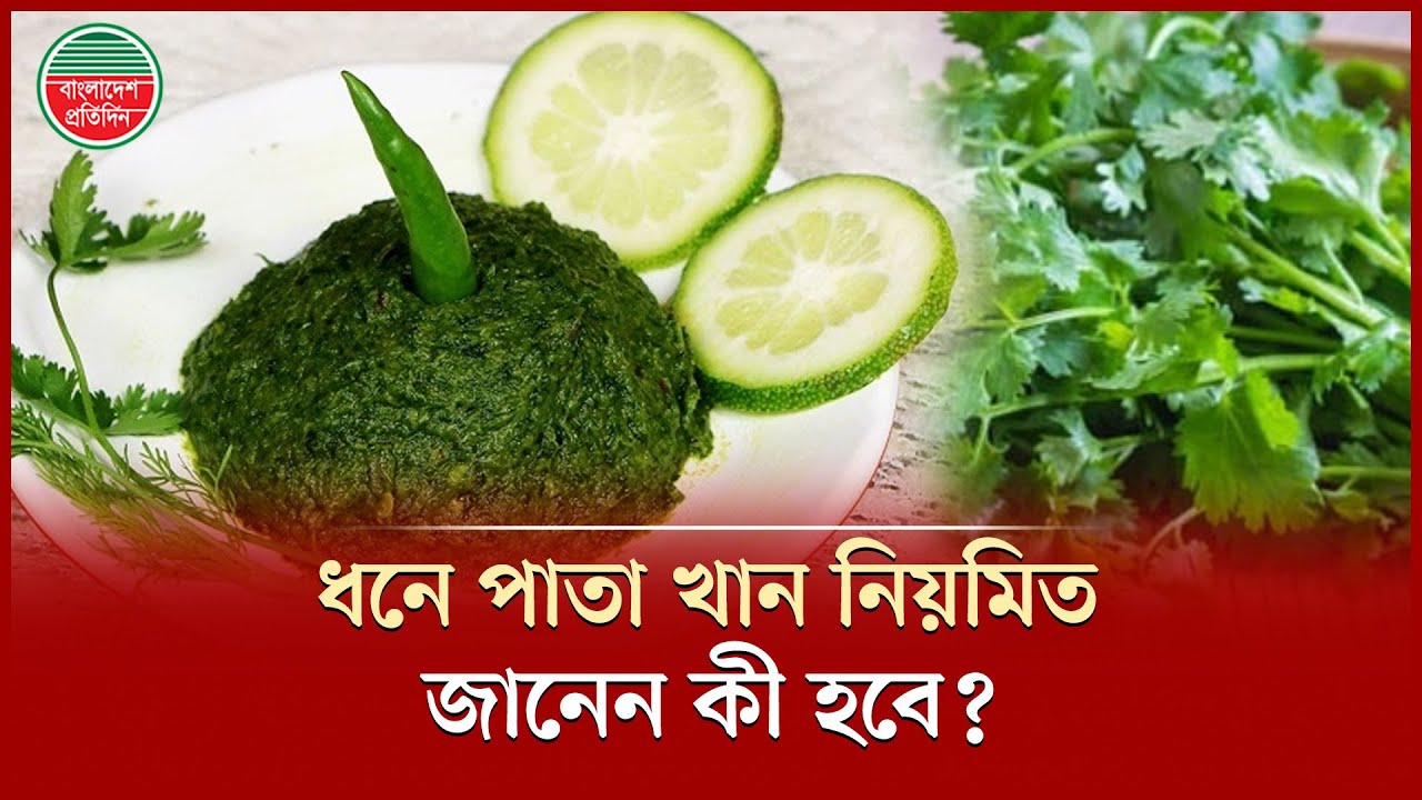ধনে পাতা উপকারের আড়ালে লুকিয়ে থাকতে পারে স্বাস্থ্যের ঝুঁকি | Coriander Risks