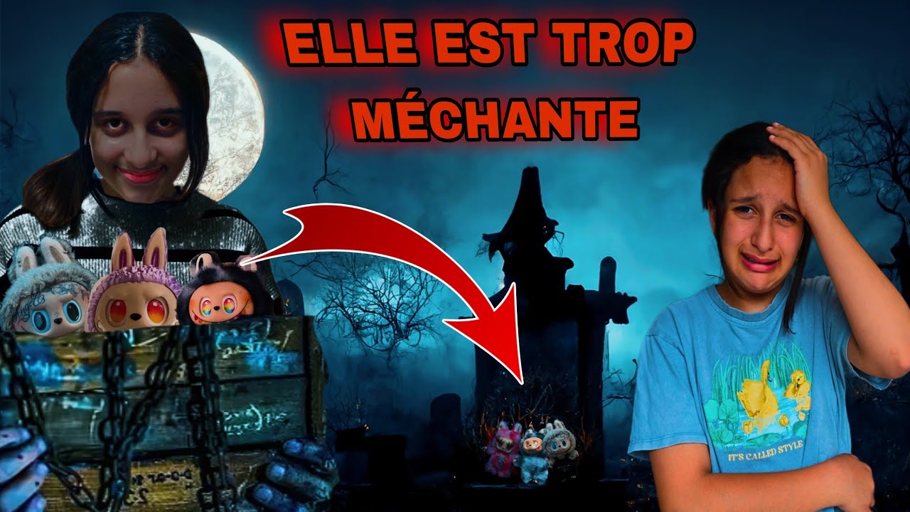 Ma sœur méchante a fait disparaître mes Labubu  #labubu 