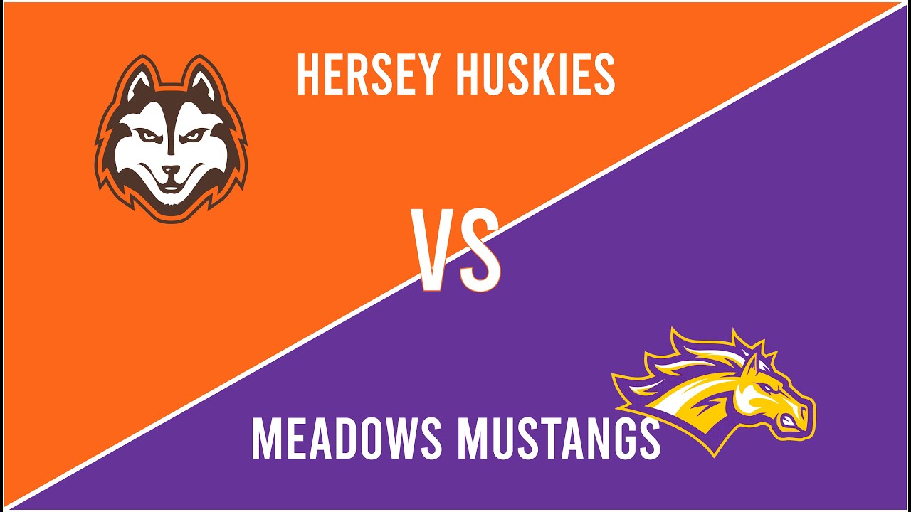 Varsity Girls Basketball vs Rolling Meadows