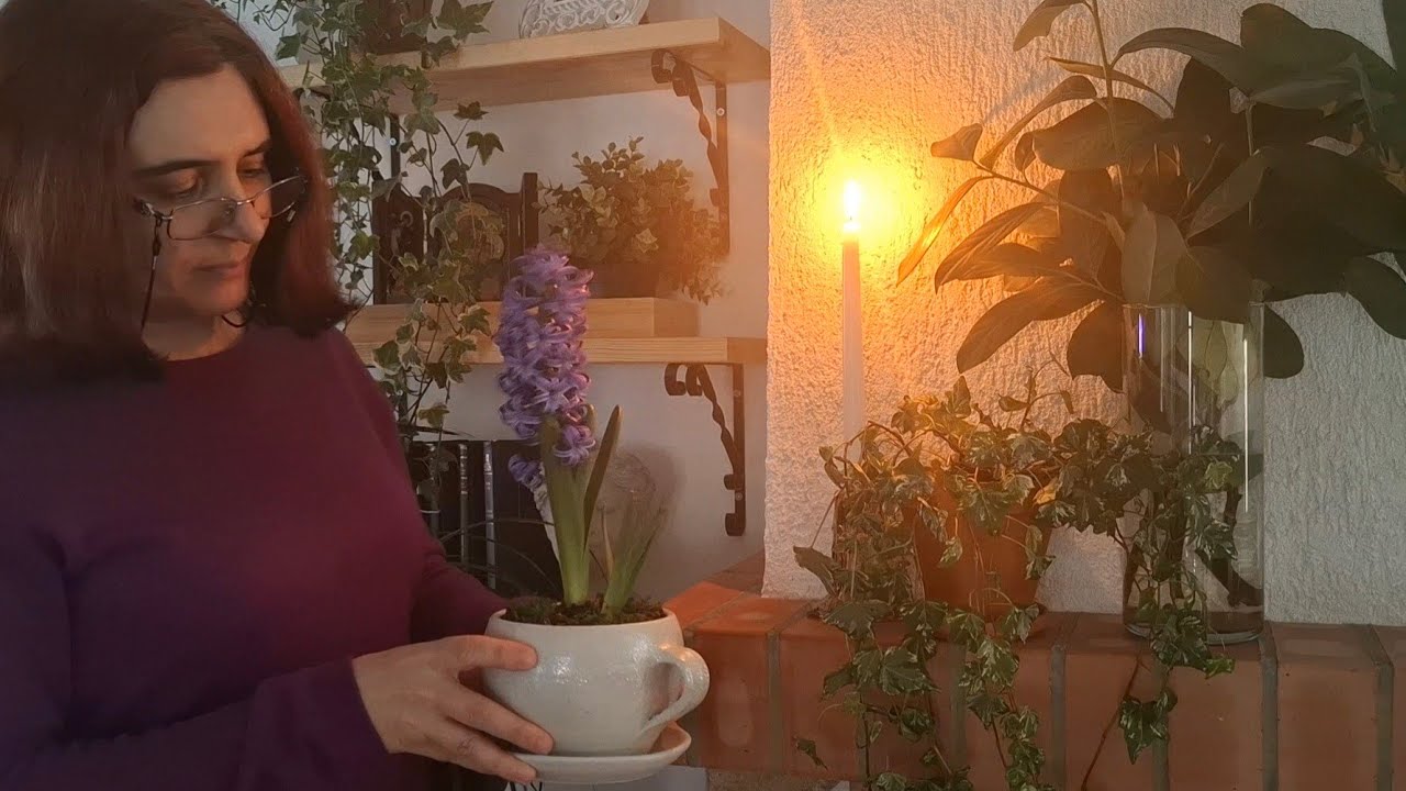 Zile linistite acasa | Gatit, curatenie si primele pregatiri de primavara 🌿
