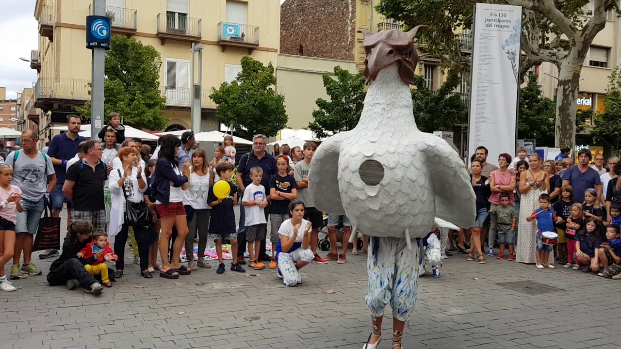 El ball del colom de Granollers - Festa Major de blancs i blaus 2017