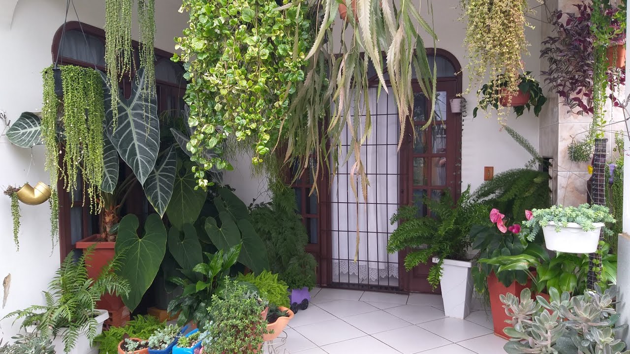 Minha varandinha  cheia de plantas!