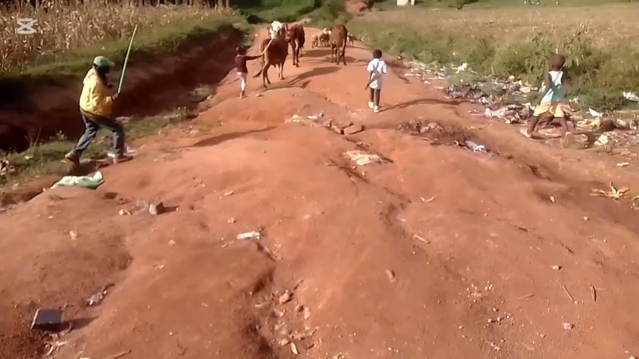 HOW WEATHERING PROCESS OCCURS IN AFRICA 