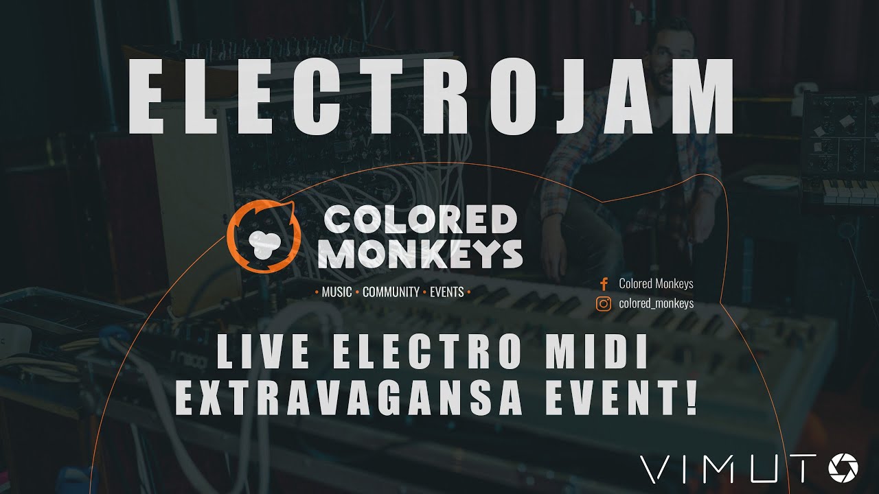 Colored Monkeys ll ELECTROJAM