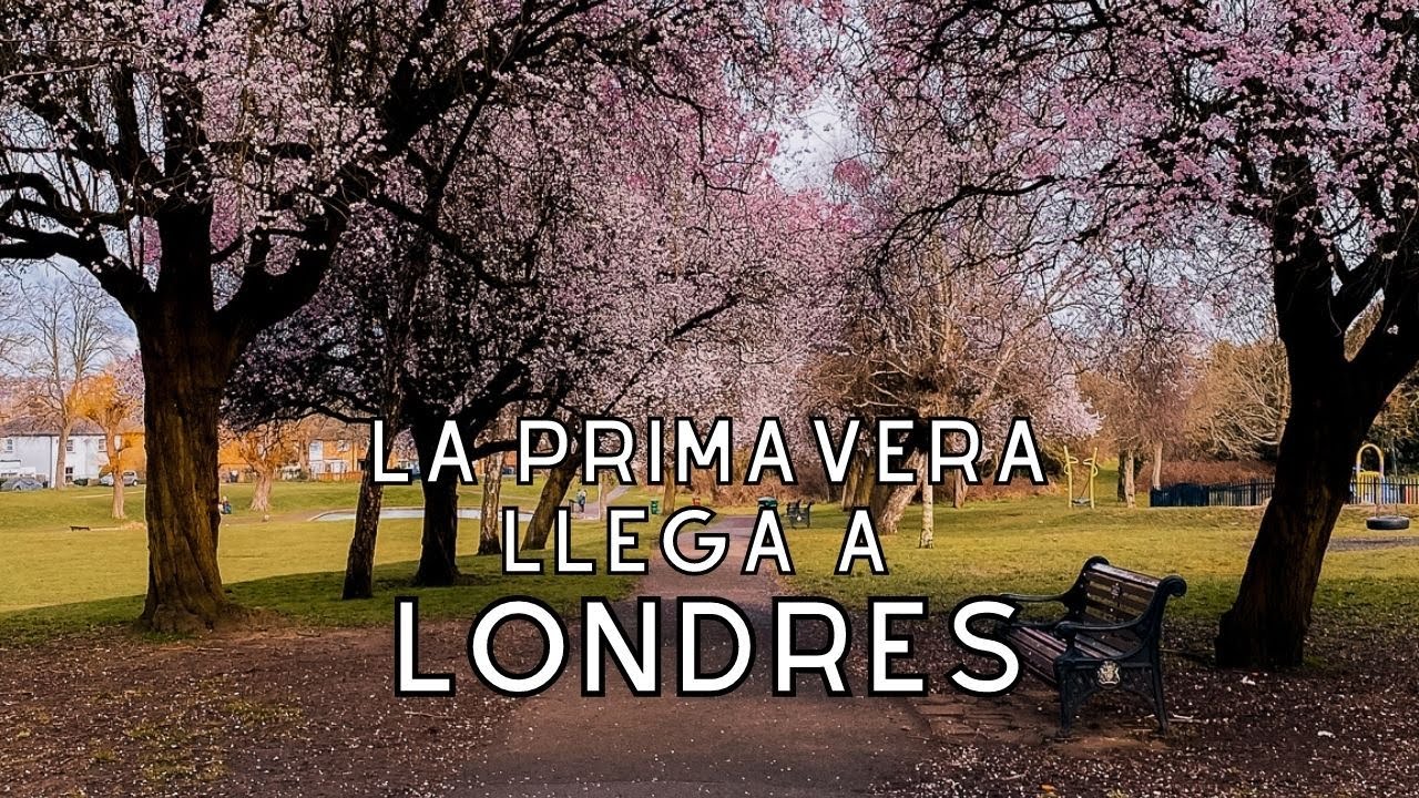 OAK HILL PARK - Llega la primaver a LONDRES