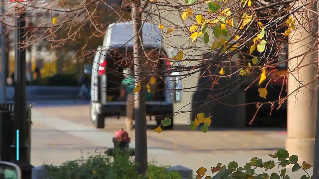 Van Leasing Advice For Small Businesses