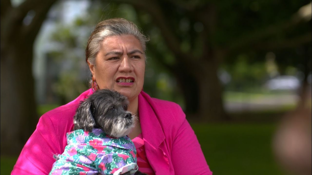 Dog owners urged to be more responsible