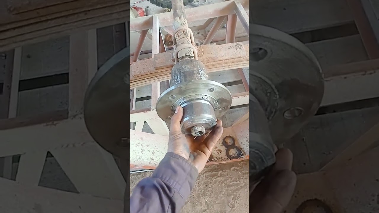 29 មករា 2024