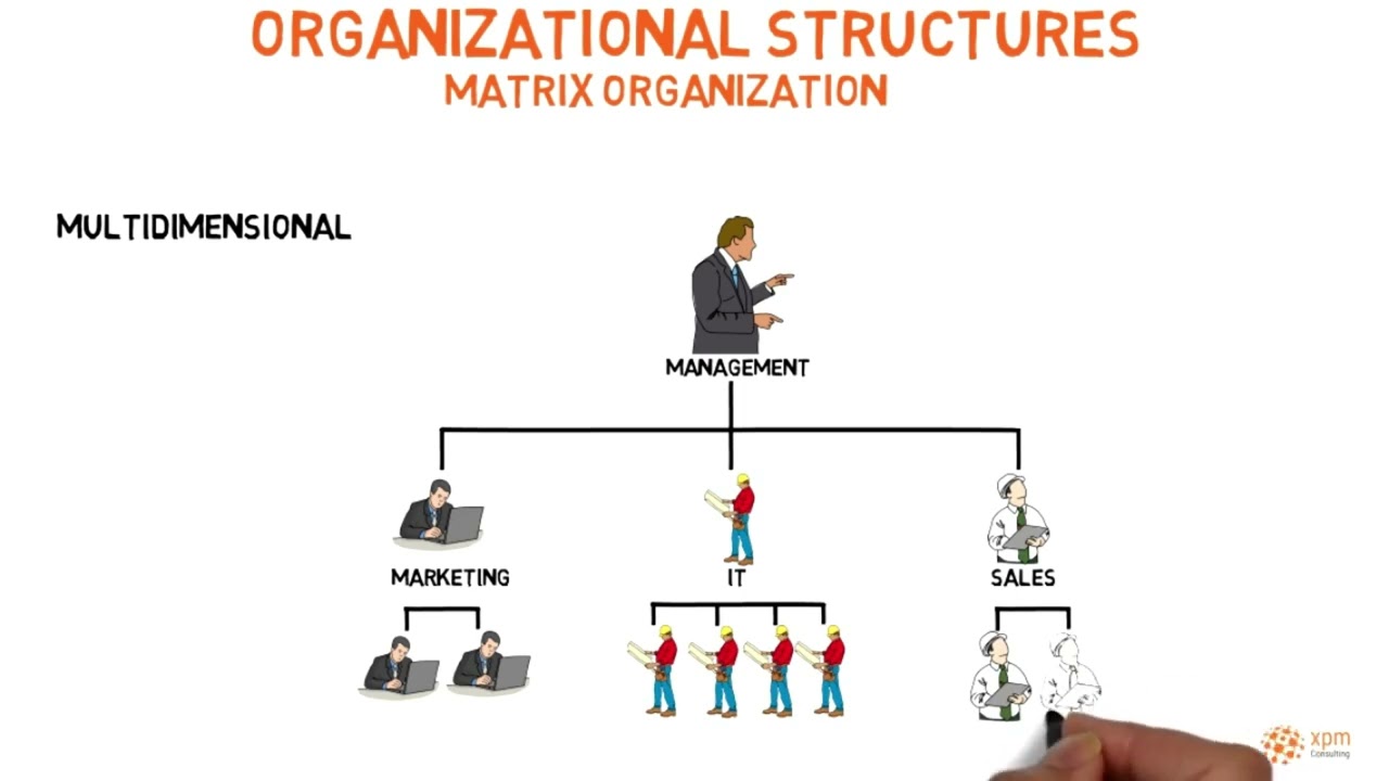 Organizational structures in project management
