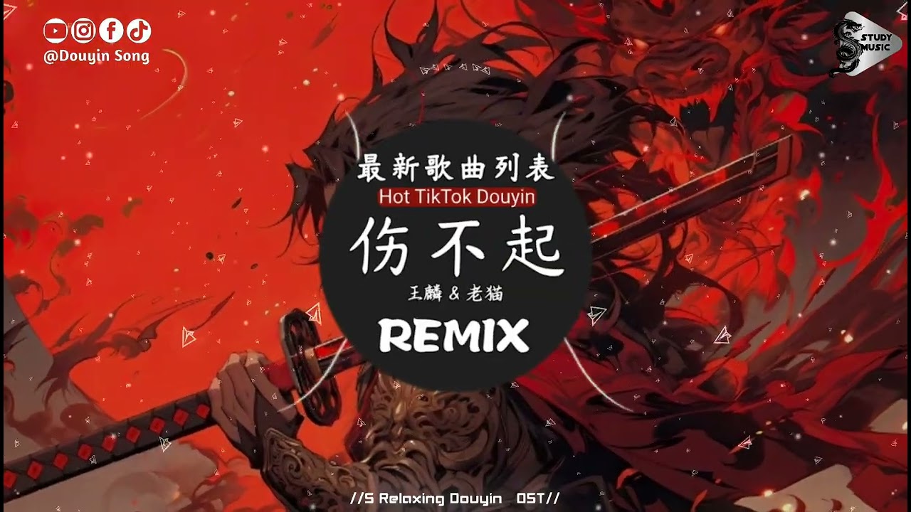 王麟 & 老猫 - 伤不起 (抖音DJ版)『你的四周美女有那么多，但是好像只偏偏看中了我，恩爱过后就不来找我，总说你很忙没空来陪我。』抖音热门流行歌曲｜氛围感BGM