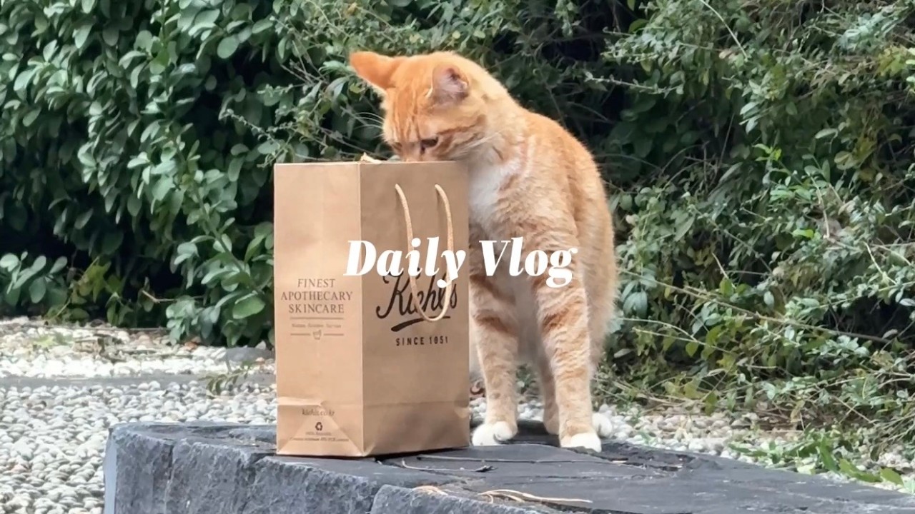 Vlog) 길고양이 챙기랴 집에 동물들 챙기랴..ㅣ강아지 목욕 시키기ㅣ재테크 공부 시작ㅣ선우용녀 찹쌀떡 리뷰ㅣ독서하기📕