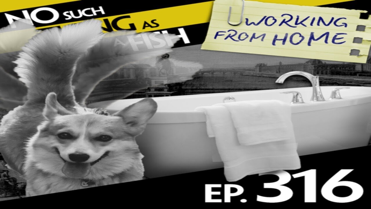 NSTAAF #316: No Such Thing As a Leg Made from Milk