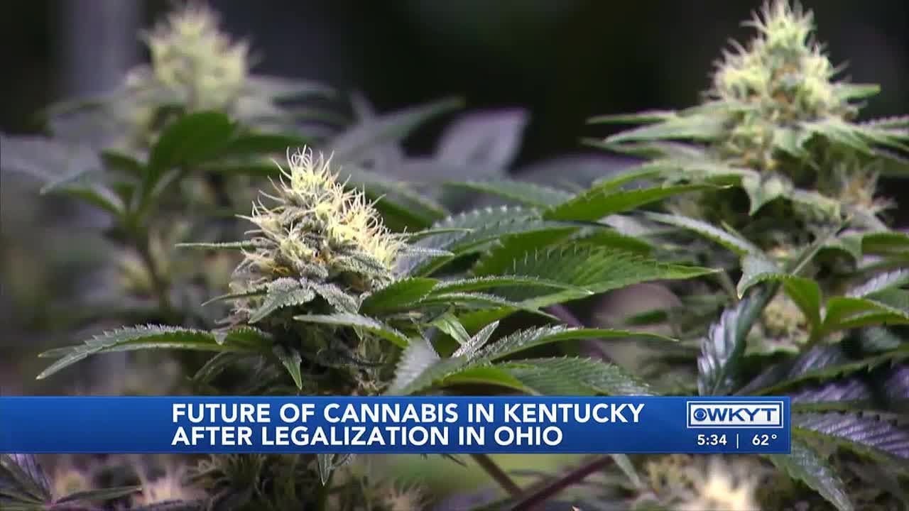WATCH | Looking at the impact Ohio&rsquo;s marijuana law has on Kentucky