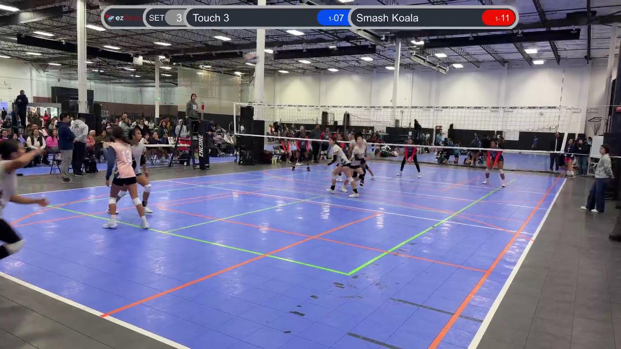 Live - Touch 3 vs Smash Koala (1-2)