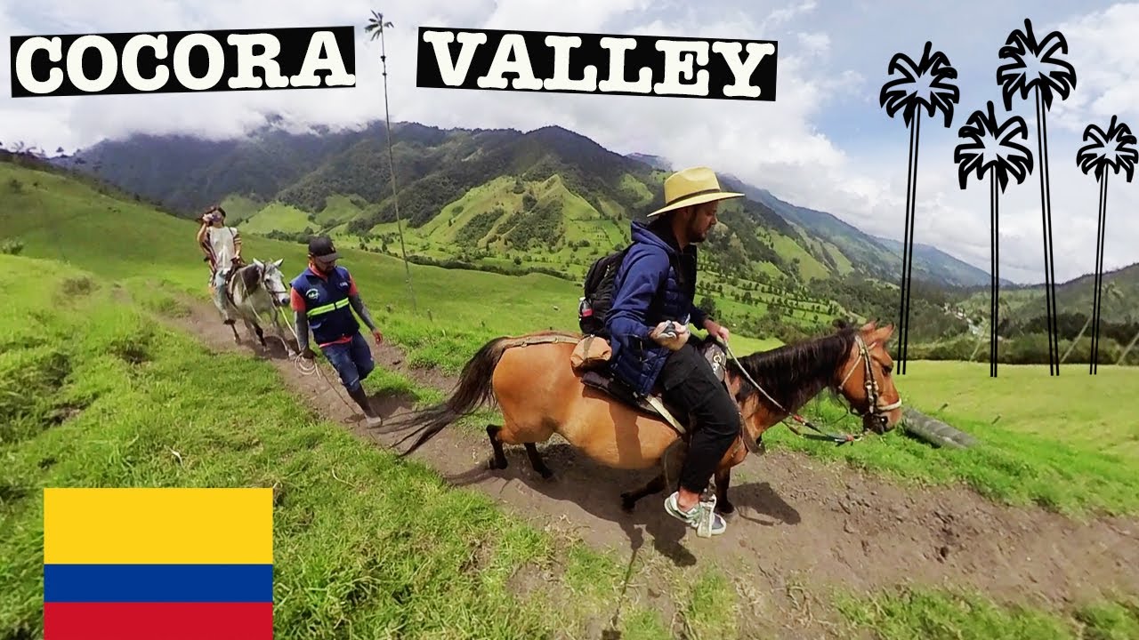 Calare printre PALMIERII de CEARA: un loc UNIC in lume | Cocora Valley, Columbia