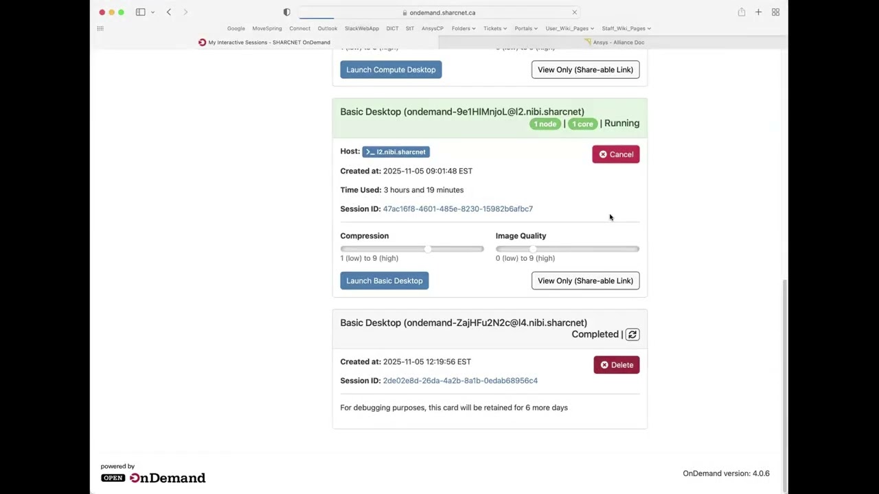 Интерактивный запуск инженерных пакетов на Nibi