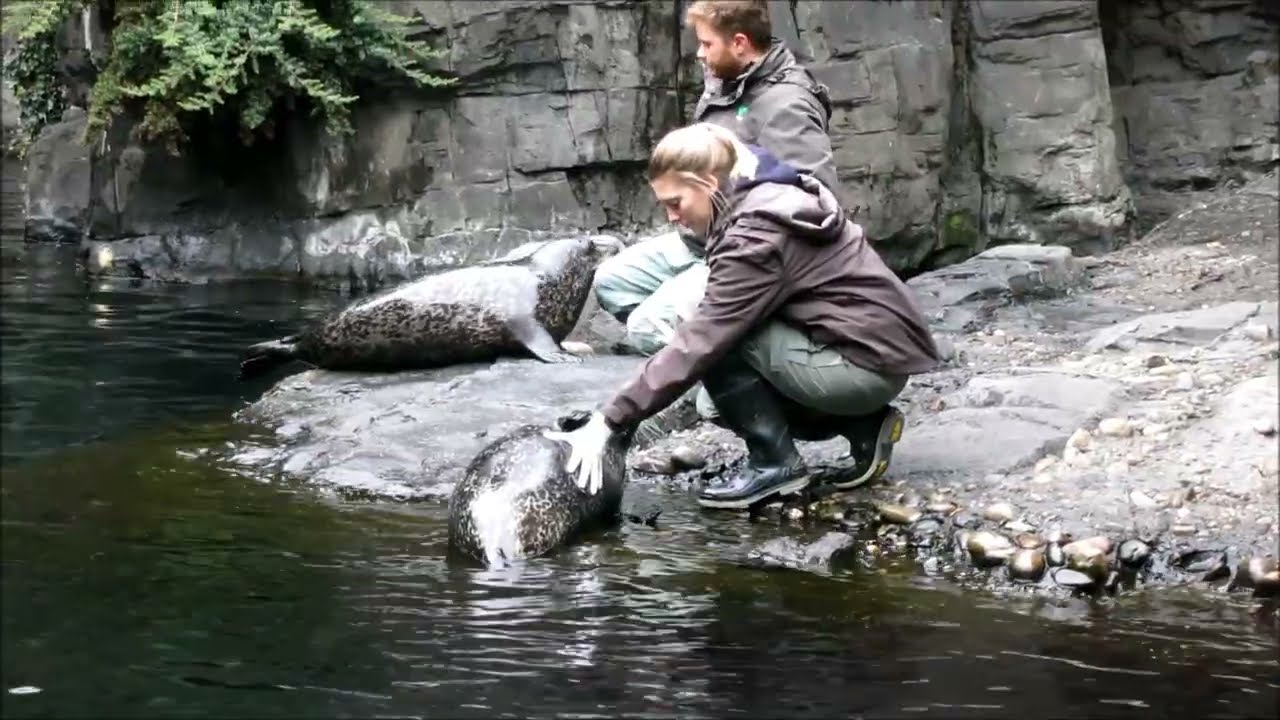 Central Park Zoo 2016