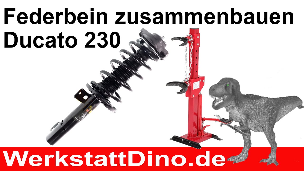Federbein Zusammenbau (McPherson) Ducato 230