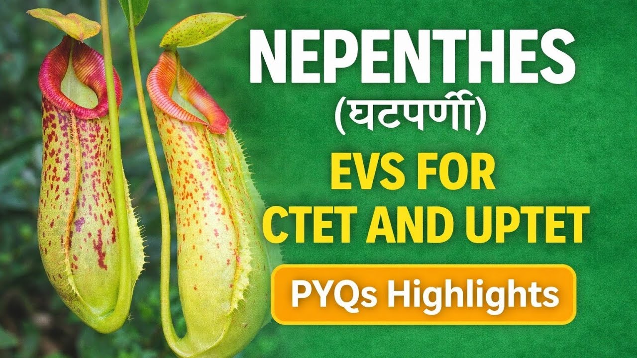​CTET 2026: शिकारी पौधा (Nepenthes) 🌿 | NCERT EVS Class 5 | 2011-2026 PYQs | 1 Number Confirm! ✅