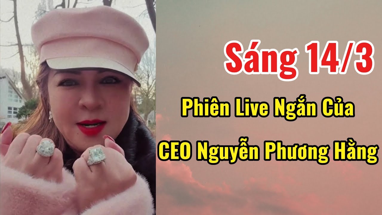 🔴 Sáng 14/3: Nguyễn Phương Hằng Hé Lộ Nhiều Tin Nóng Sẽ Nói Trong Livestream Tới