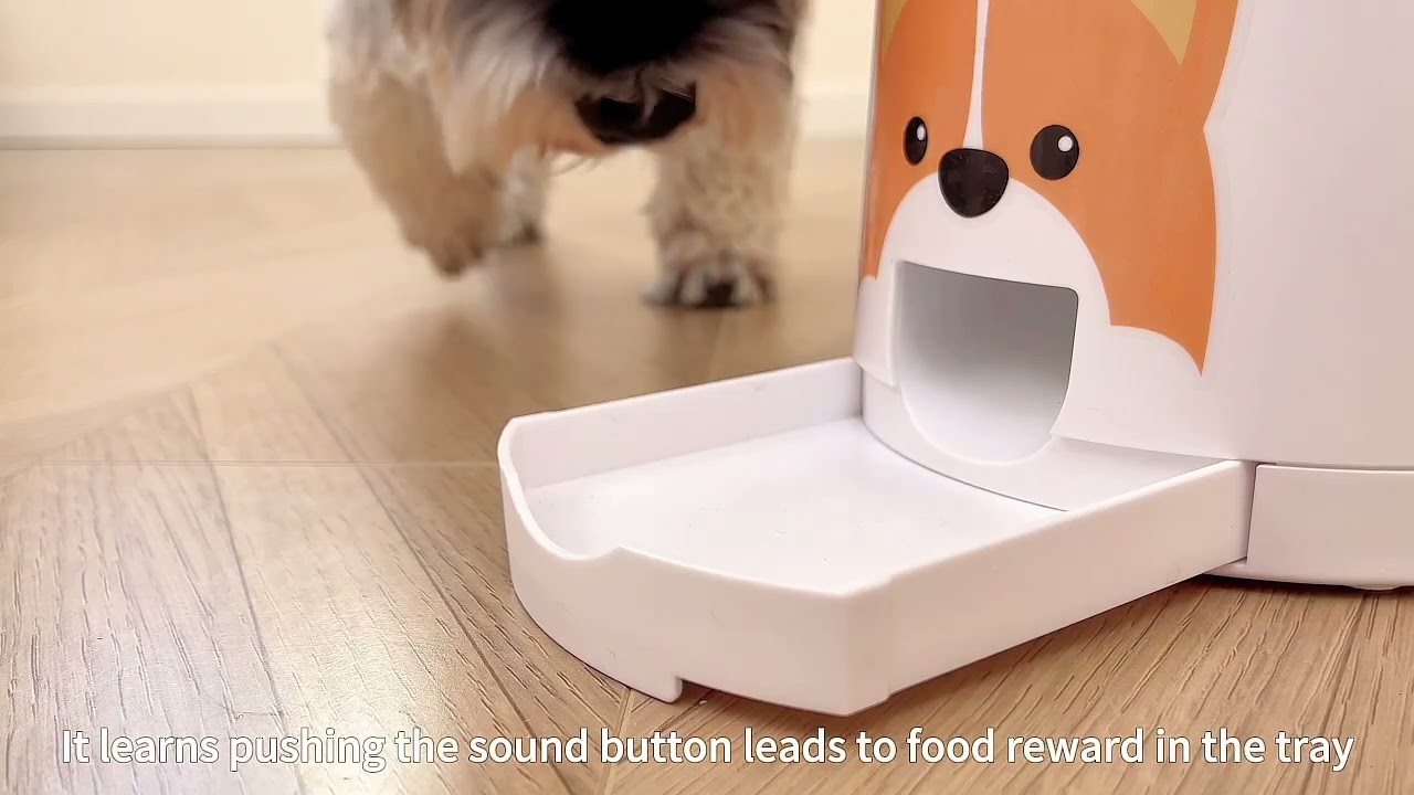 Training Guide for Dogs with Moderate Food Drive