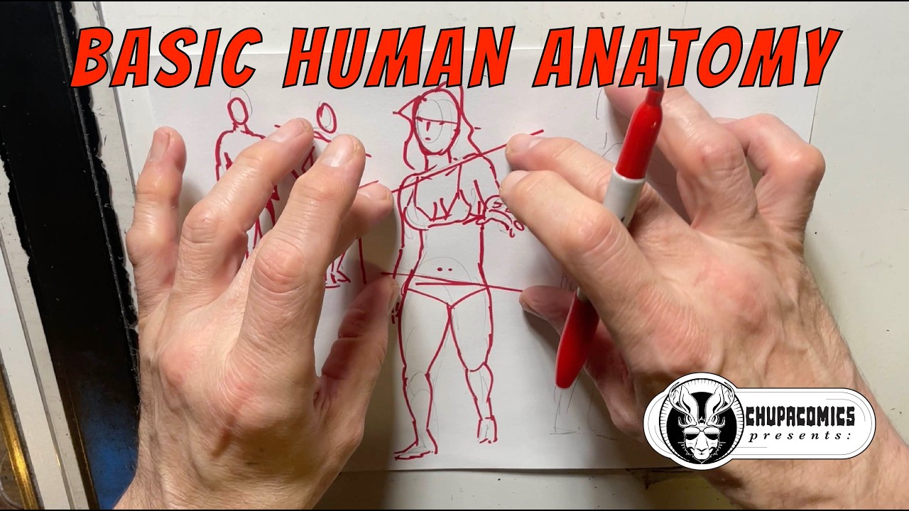 Basic Anatomy notes