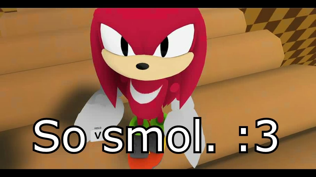 Rouge Meets Classic Knuckles in Green Hill Zone - VRChat